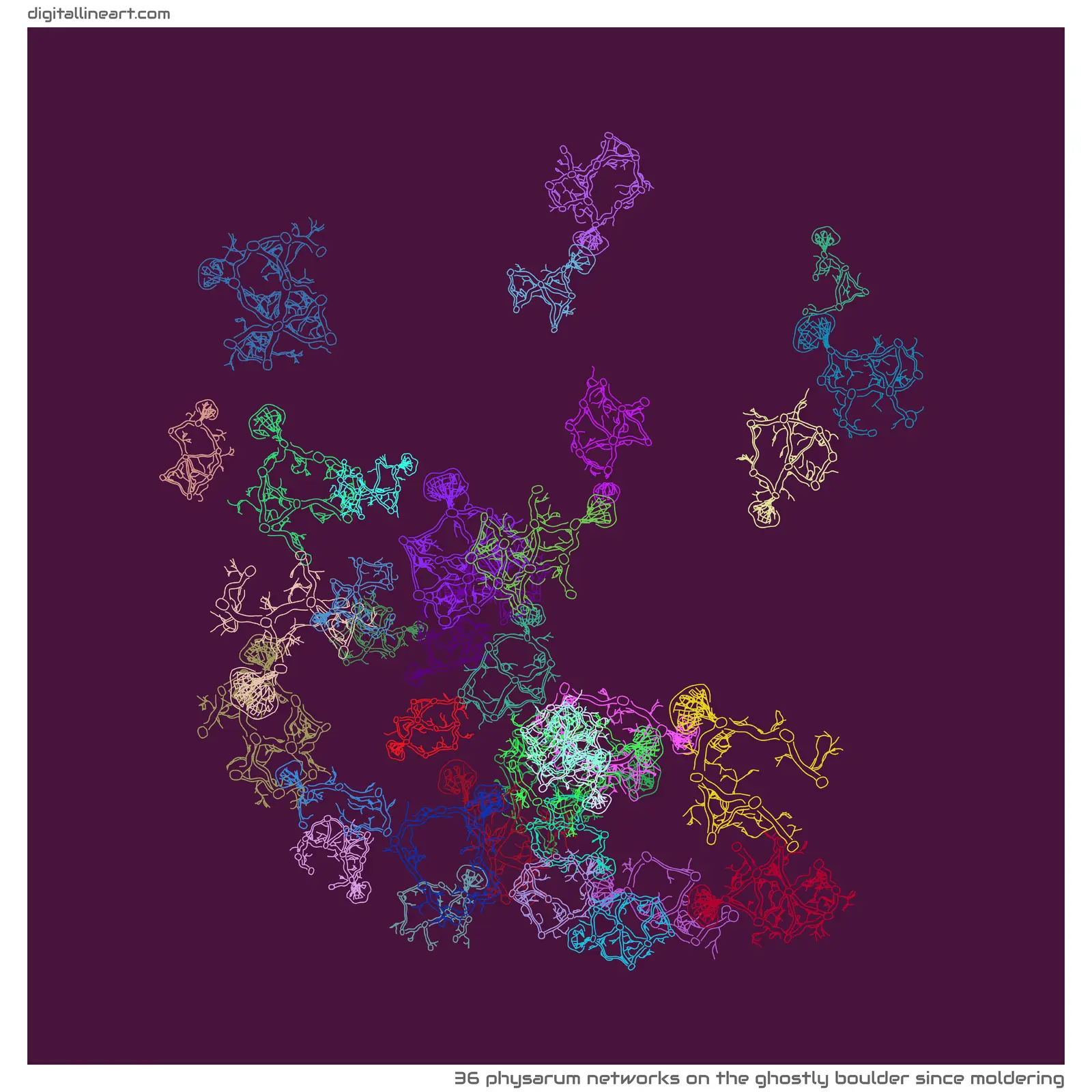 The Ghostly Boulder Since Moldering — 36 physarum networks