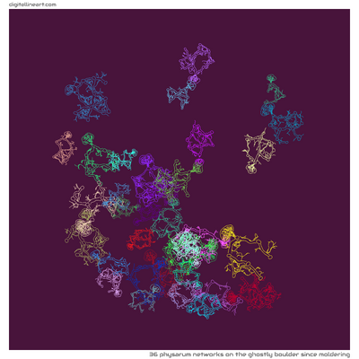 The Ghostly Boulder Since Moldering — 36 physarum networks