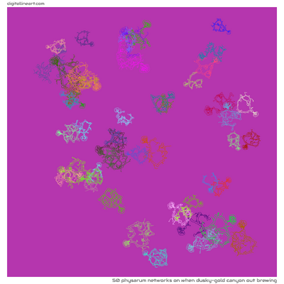 When Dusky-gold Canyon out Brewing — 50 physarum networks