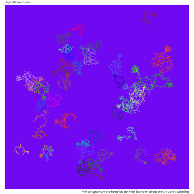 The Border atop Well-worn Calming — 44 physarum networks