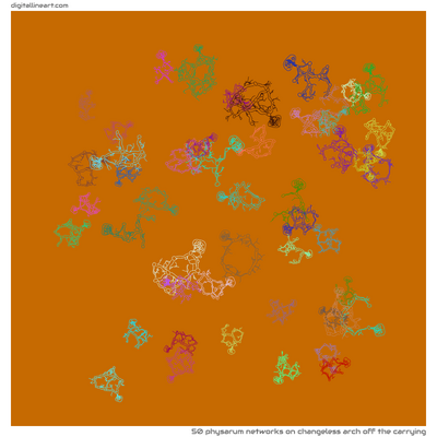 Changeless Arch off the Carrying — 50 physarum networks