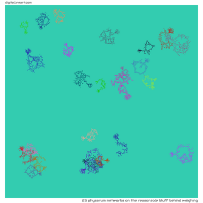 The Reasonable Bluff behind Weighing — 25 physarum networks