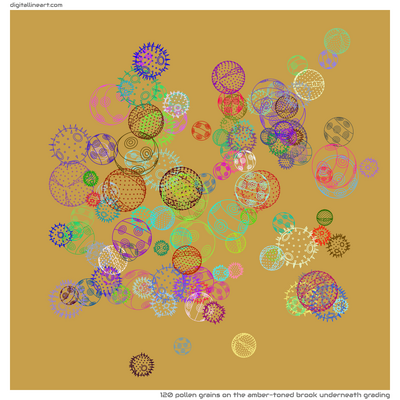 The Amber-toned Brook underneath Grading — 120 pollen grains