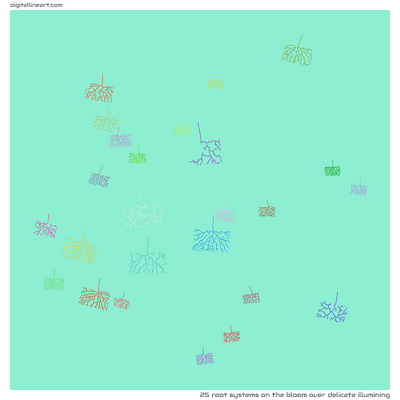 The Bloom over Delicate Illumining — 25 root systems