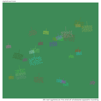 The Atoll of Wholesome opposite Rounding — 29 root systems