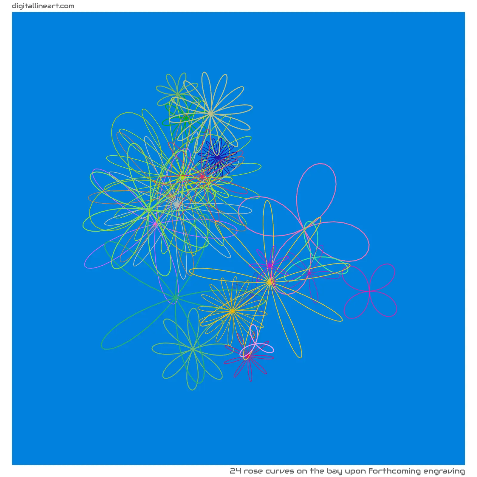 The Bay upon Forthcoming Engraving — 24 rose curves