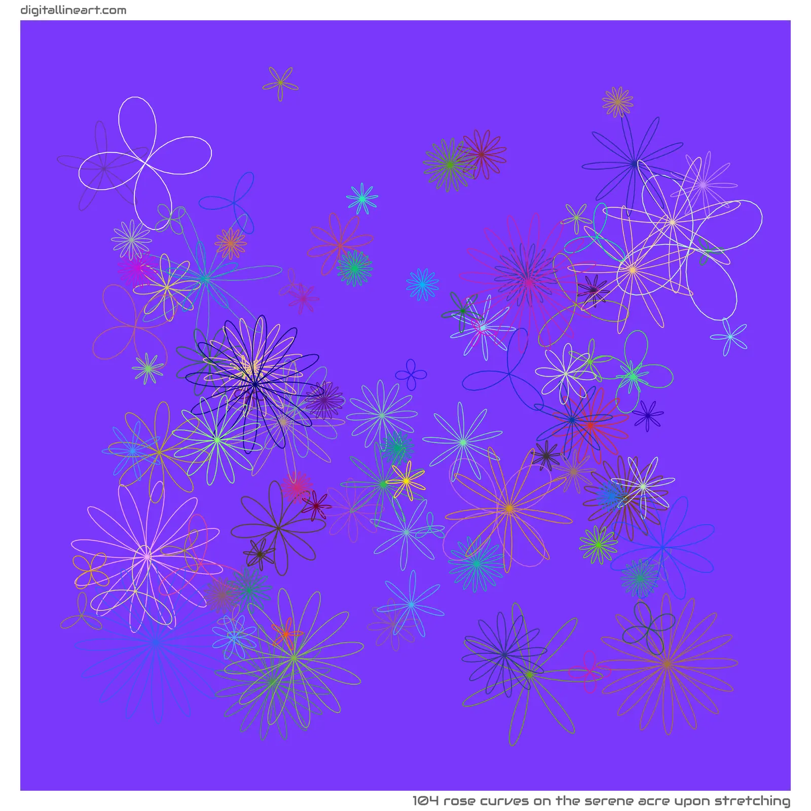 The Serene Acre upon Stretching — 104 rose curves