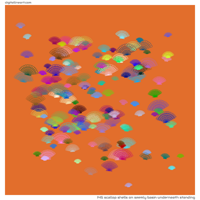 Seemly Basin underneath Standing — 145 scallop shells
