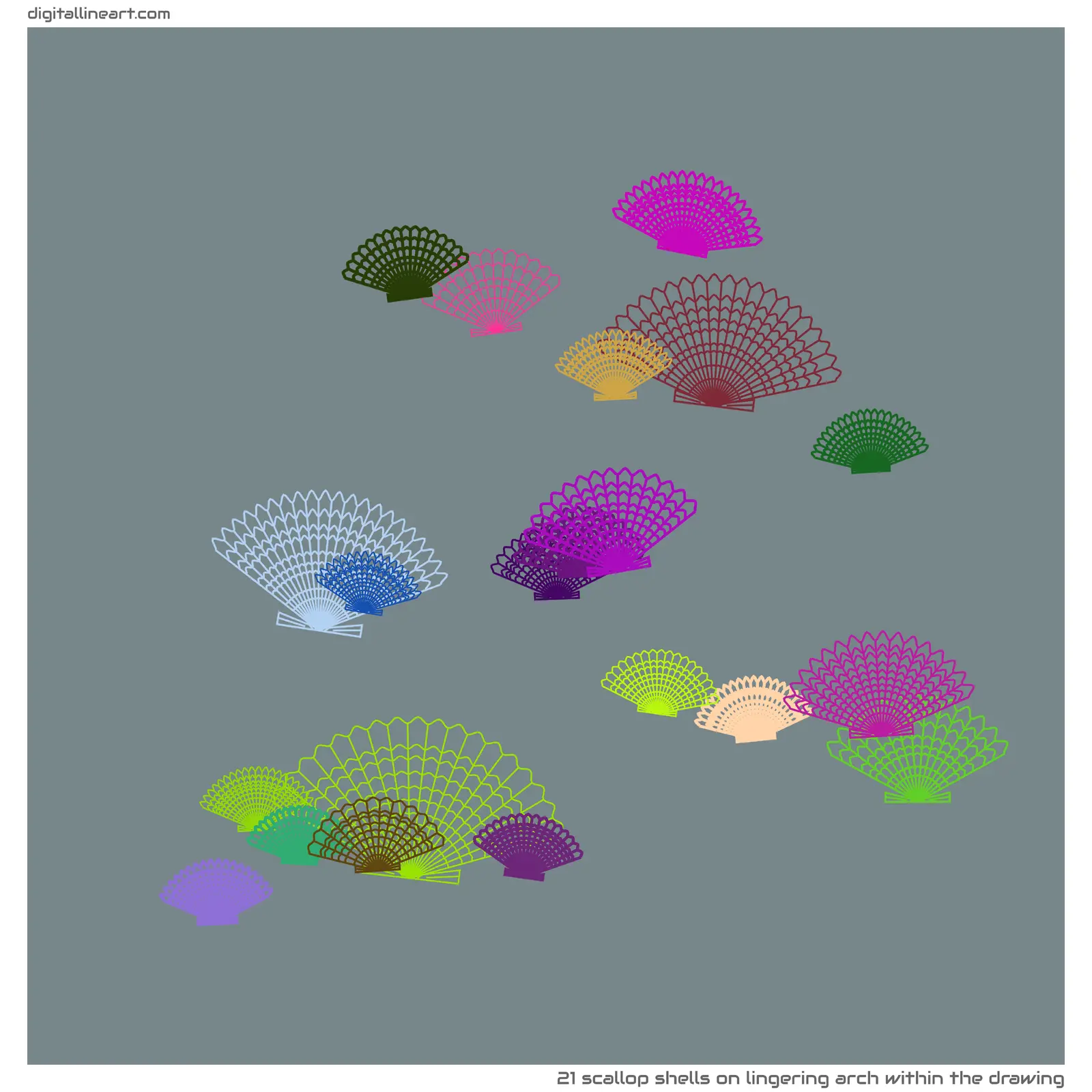Lingering Arch within the Drawing — 21 scallop shells