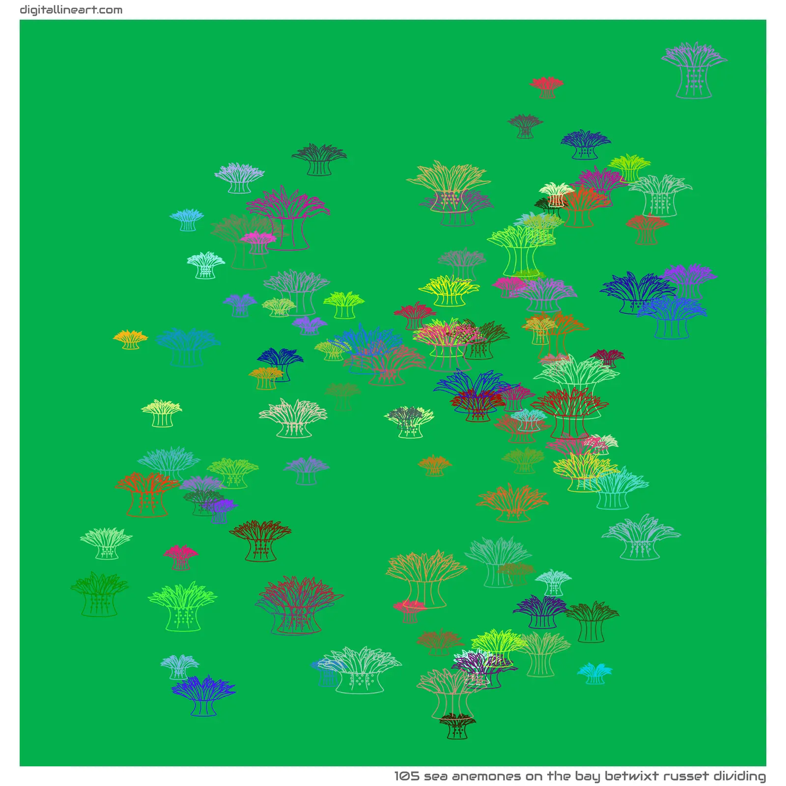 The Bay betwixt Russet Dividing — 105 sea anemones