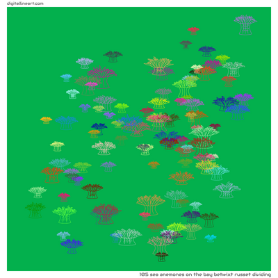 The Bay betwixt Russet Dividing — 105 sea anemones