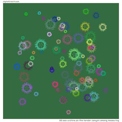 The Tender Canyon among Measuring — 83 sea urchins