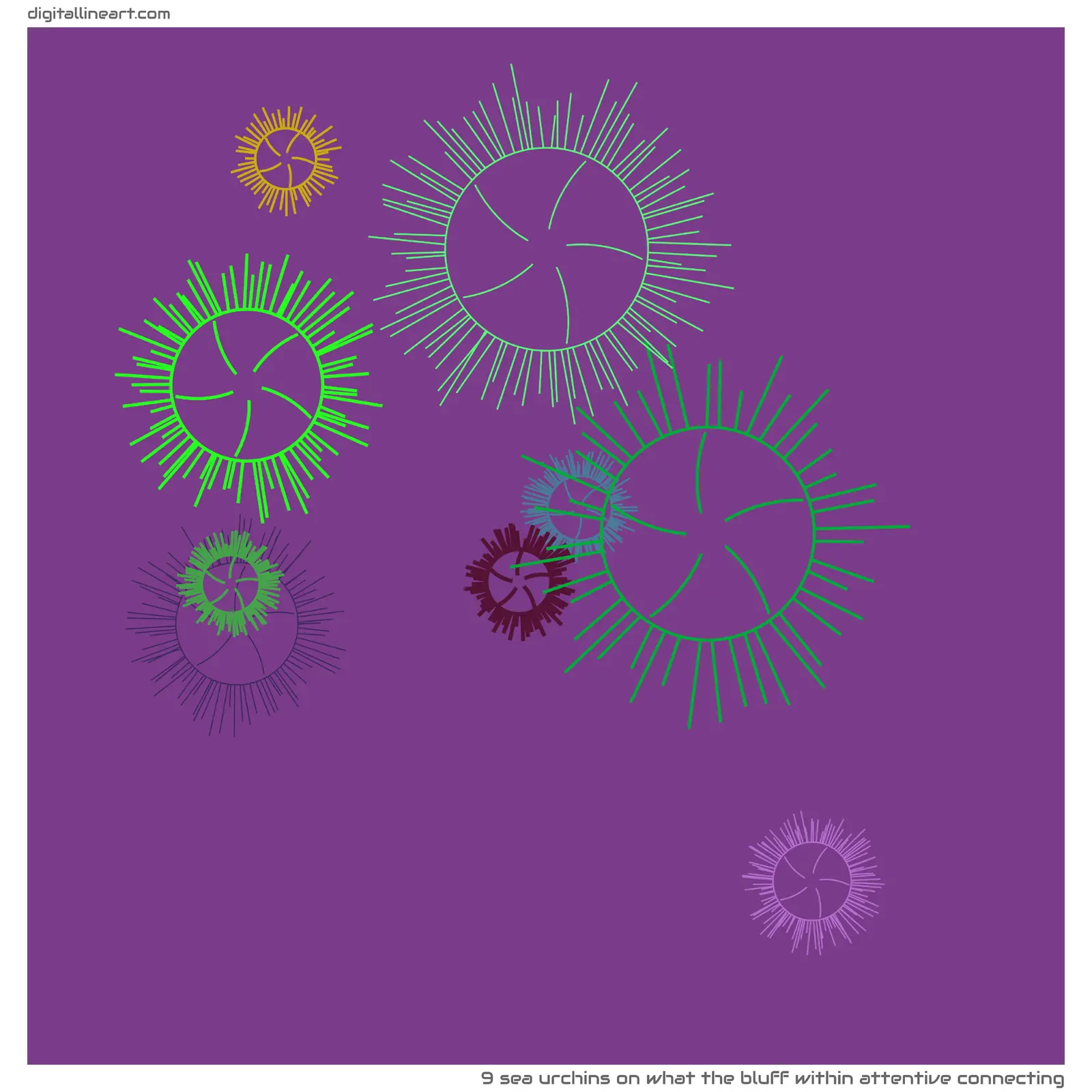 What the Bluff within Attentive Connecting — 9 sea urchins