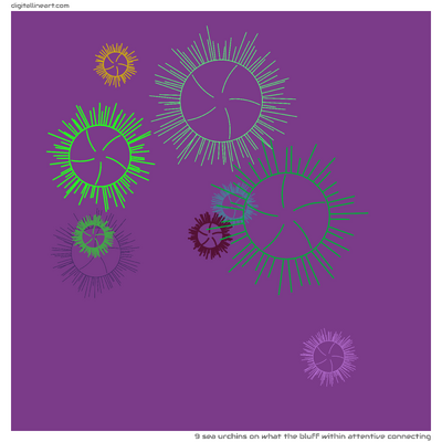 What the Bluff within Attentive Connecting — 9 sea urchins