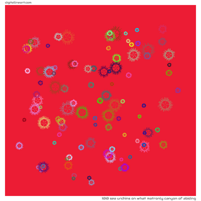 What Matronly Canyon of Abiding — 100 sea urchins