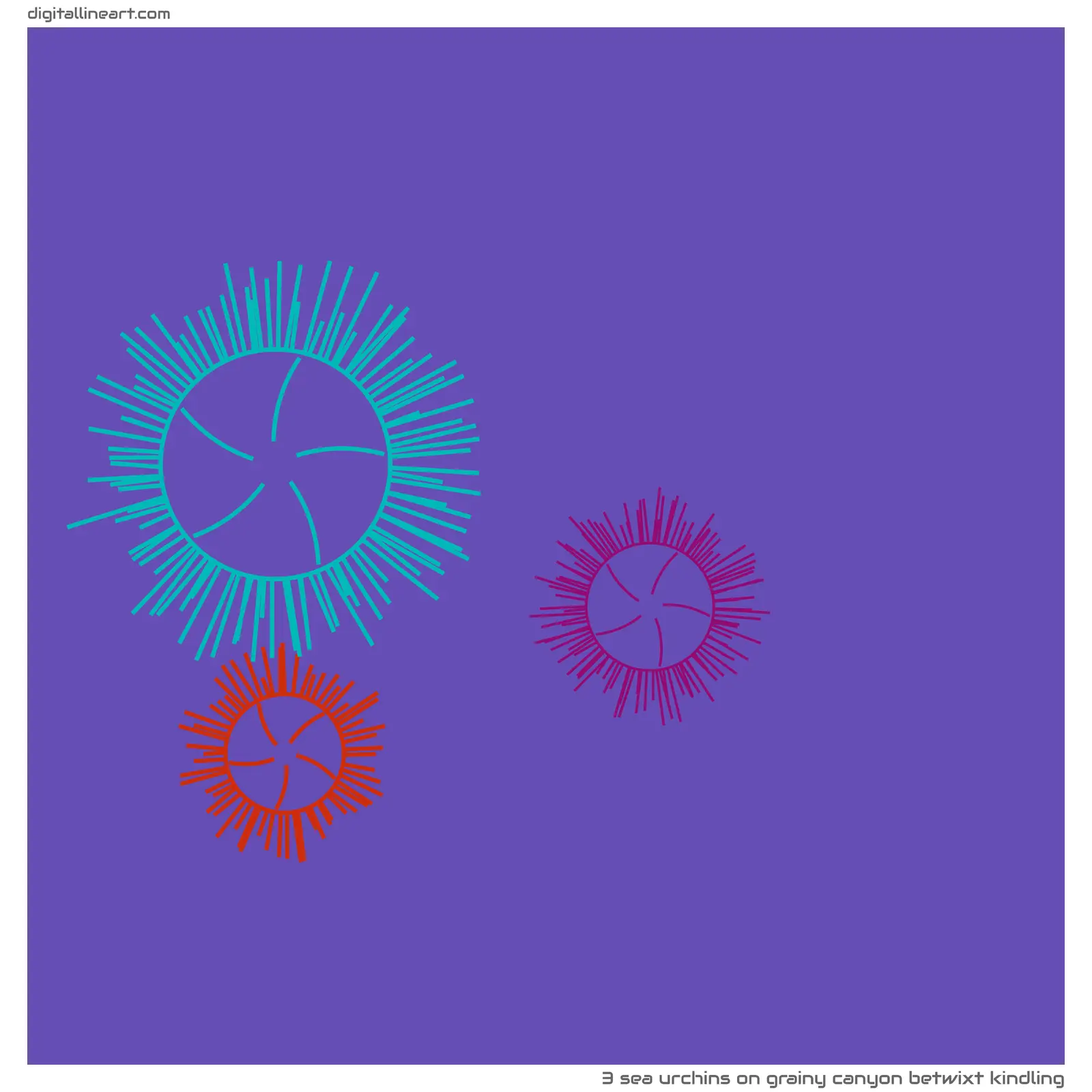 Grainy Canyon betwixt Kindling — 3 sea urchins