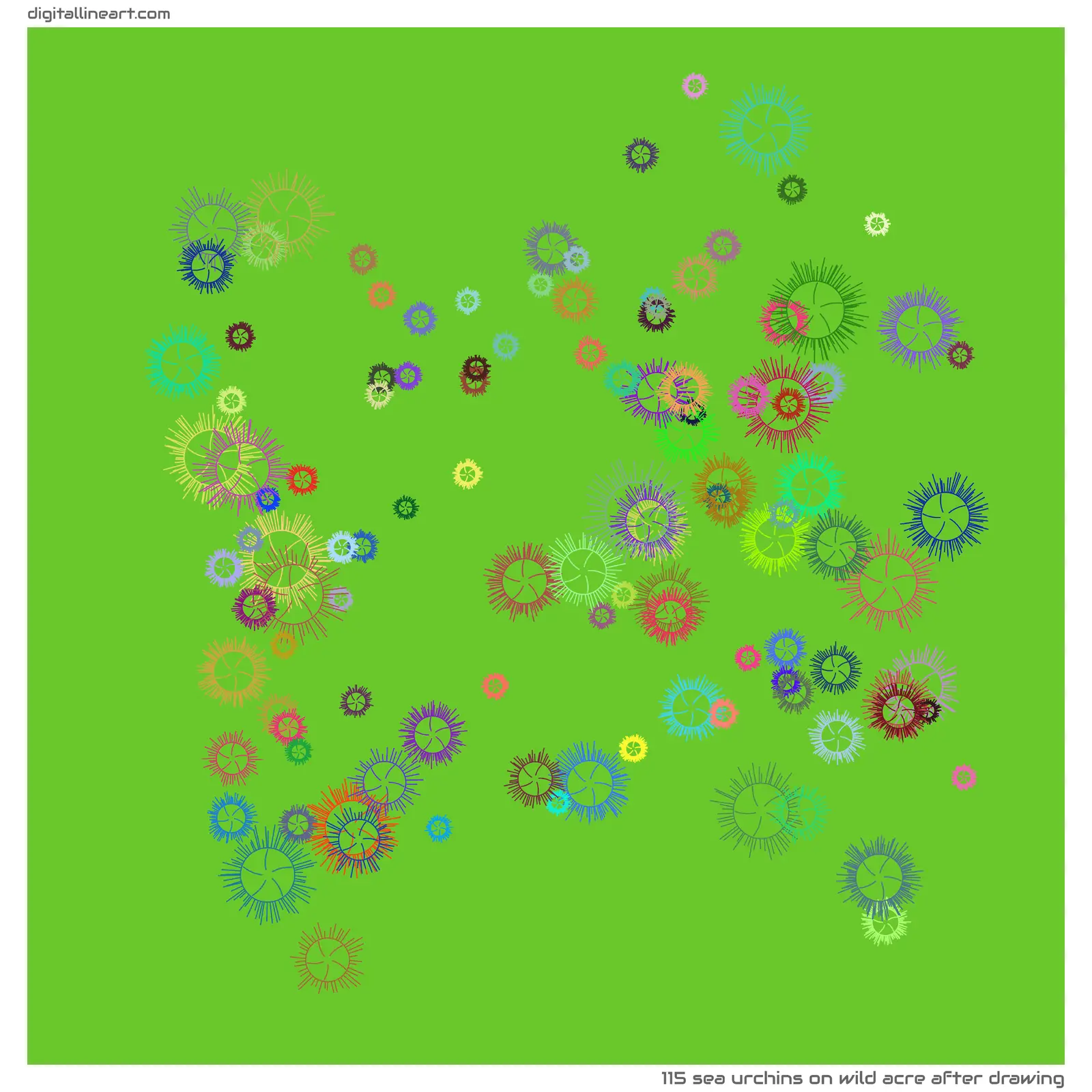 Wild Acre after Drawing — 115 sea urchins