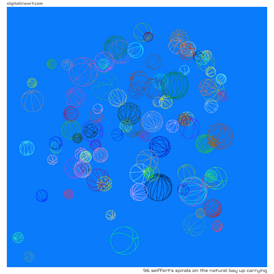 The Natural Bay up Carrying — 96 seiffert's spirals