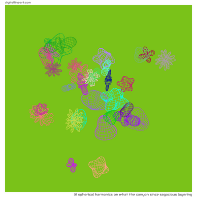 What the Canyon Since Sagacious Layering — 31 spherical harmonics