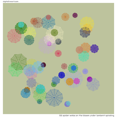 The Bloom under Lambent Spiraling — 55 spider webs