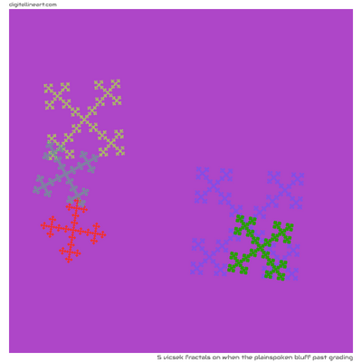 When the Plainspoken Bluff past Grading — 5 Vicsek fractals