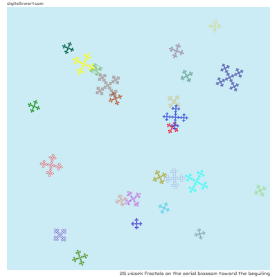 The Aerial Blossom toward the Beguiling — 25 Vicsek fractals