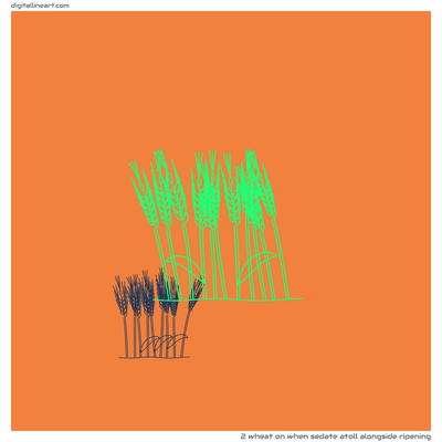 When Sedate Atoll alongside Ripening — Wheat, 2 elements