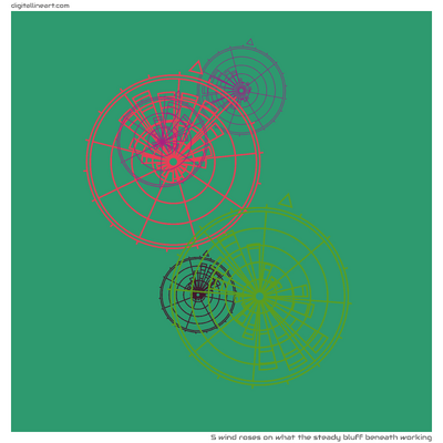 What the Steady Bluff beneath Working — 5 wind roses