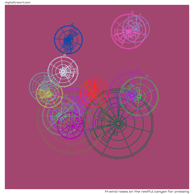 The Restful Canyon for Pressing — 14 wind roses