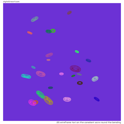 The Constant Acre round the Bending — Wireframe Tori, 25 elements