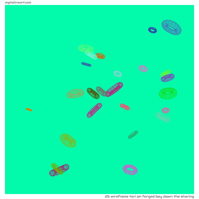 Forged Bay down the Sharing — Wireframe Tori, 25 elements