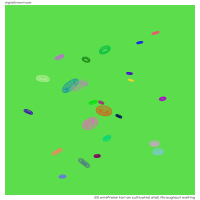 Cultivated Atoll throughout Waiting — Wireframe Tori, 25 elements