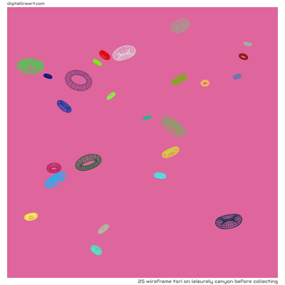 Leisurely Canyon before Collecting — Wireframe Tori, 25 elements