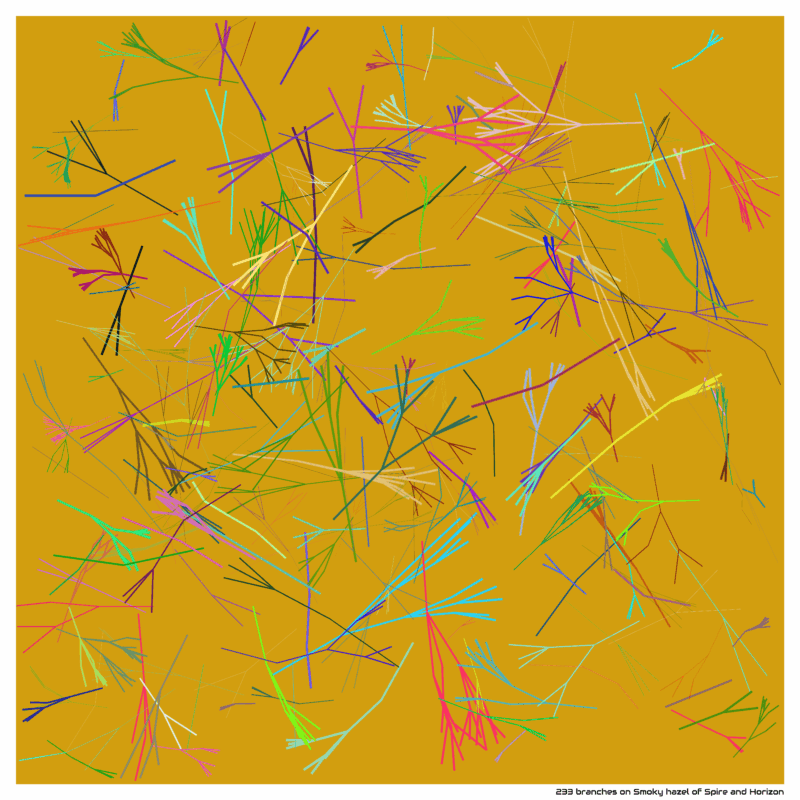 233 branches on Smoky hazel of Spire and Horizon