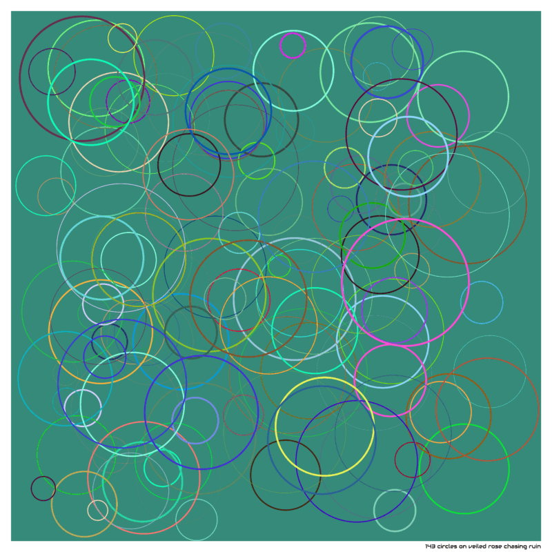 143 circles on veiled rose chasing ruin
