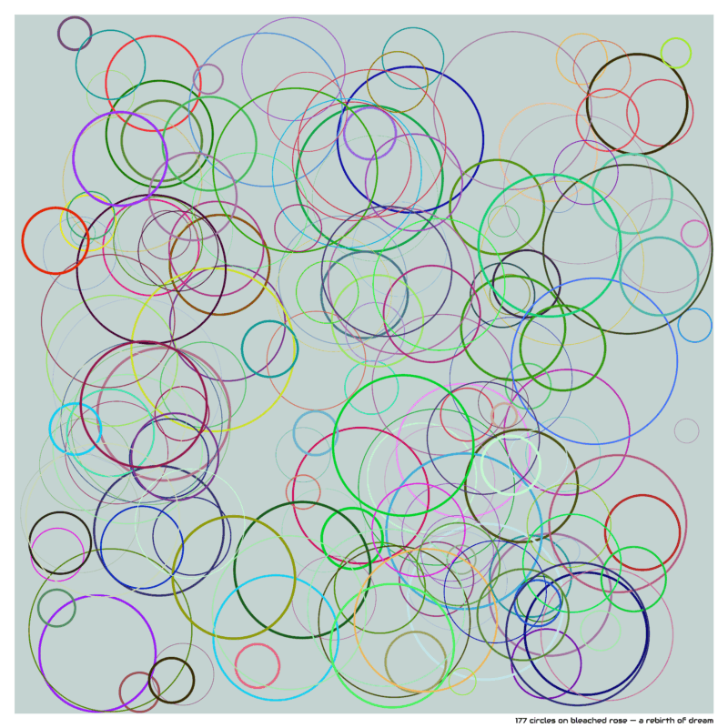 177 circles on bleached rose — a rebirth of dream