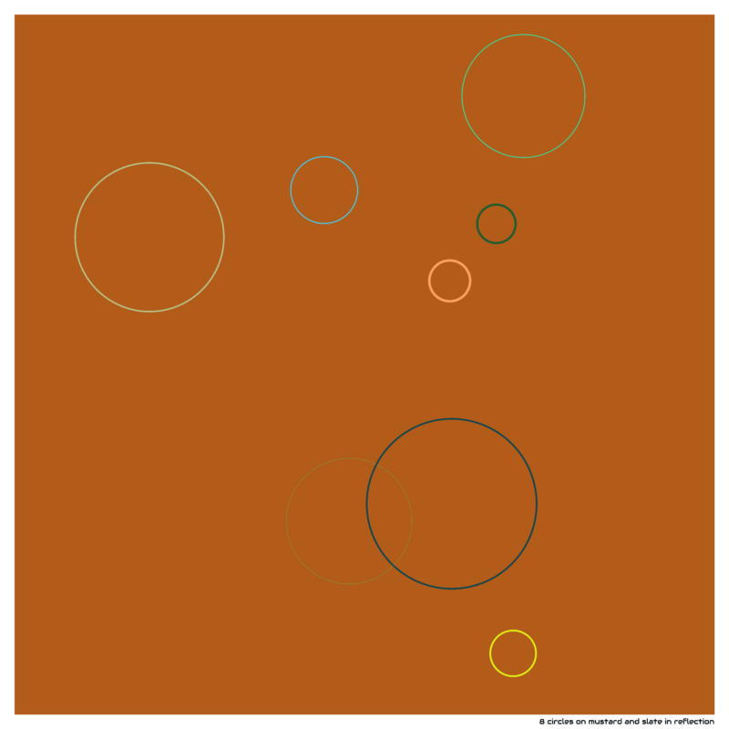 8 circles on mustard and slate in reflection