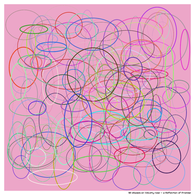 181 ellipses on Velvety rose — a Reflection of Promise