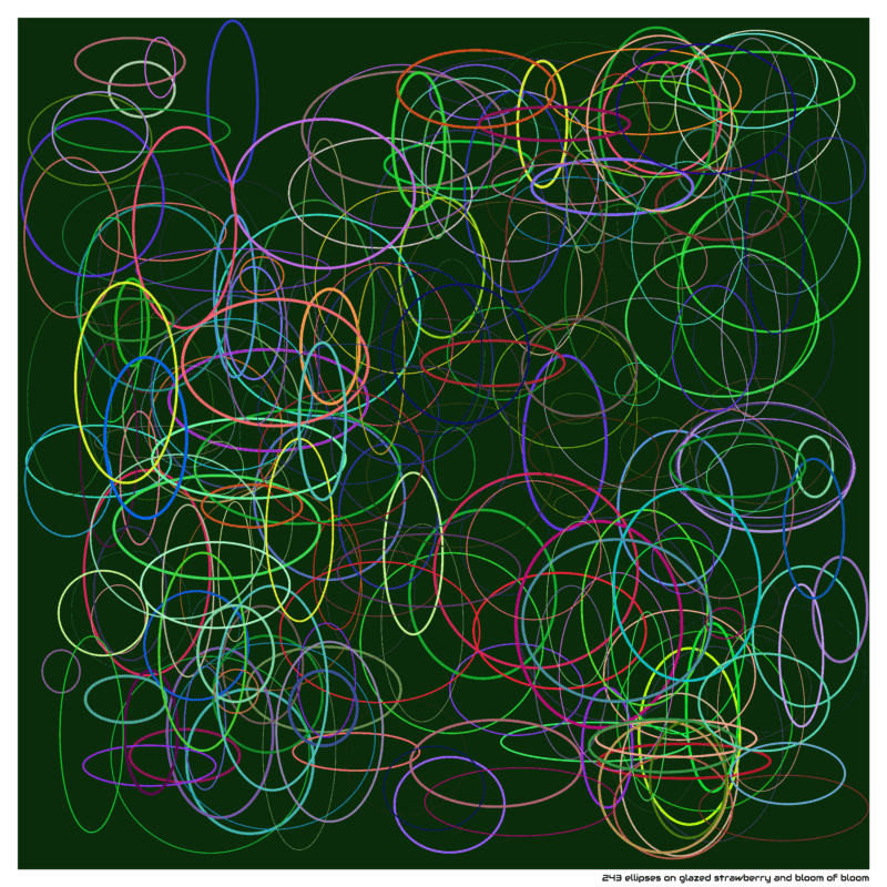 243 ellipses on glazed strawberry and bloom of bloom