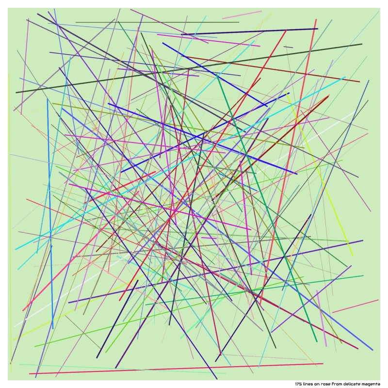 175 lines on rose from delicate magenta