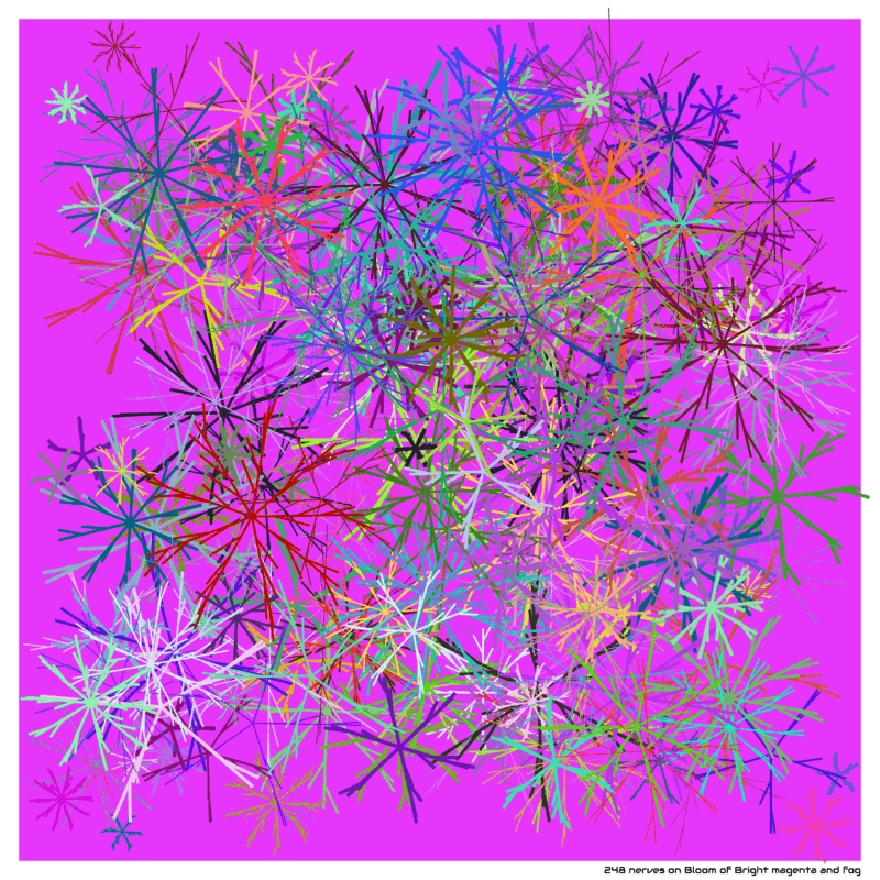 248 nerves on Bloom of Bright magenta and fog