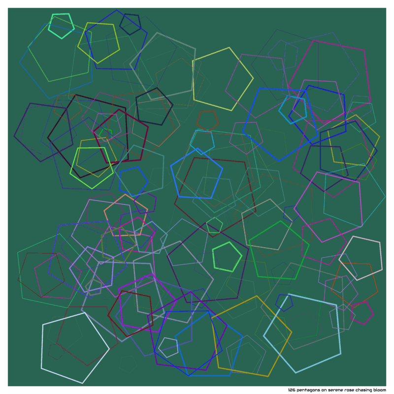 126 pentagons on serene rose chasing bloom