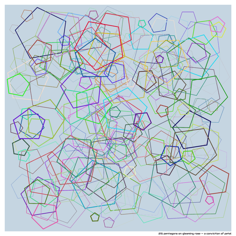 215 pentagons on gleaming rose — a conviction of petal