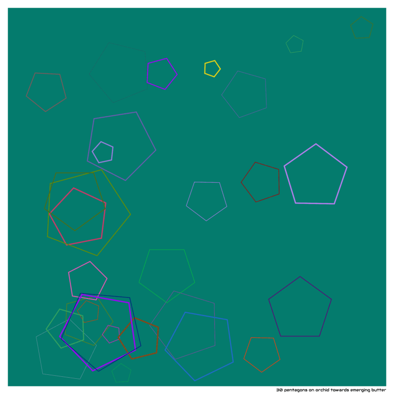 30 pentagons on orchid towards emerging butter