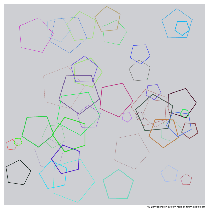 43 pentagons on broken rose of truth and bloom