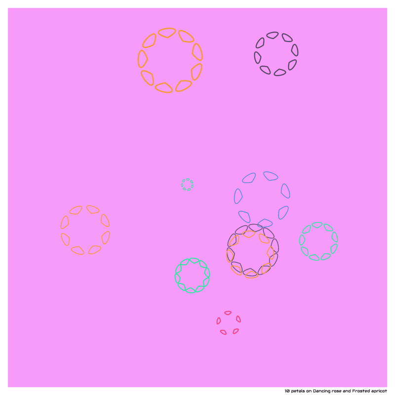 10 petals on Dancing rose and Frosted apricot