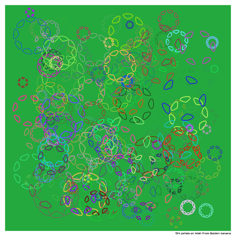 154 petals on Wish from Golden banana