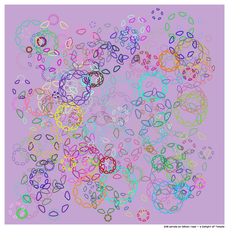 210 petals on Silken rose — a Delight of Temple