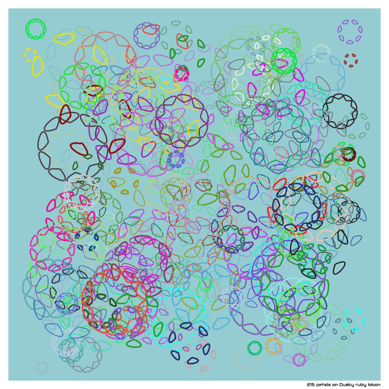215 petals on Dusky ruby Moon