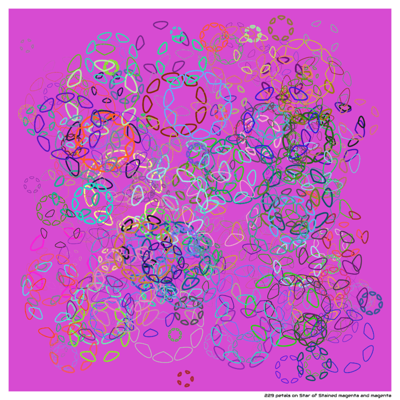 229 petals on Star of Stained magenta and magenta